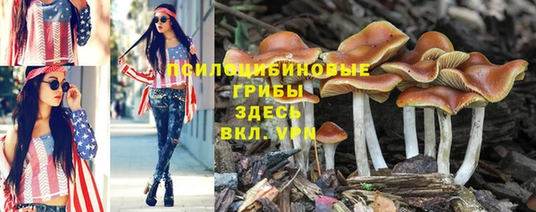 марки lsd Алзамай