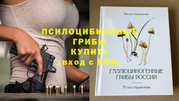 ALPHA-PVP Алексин